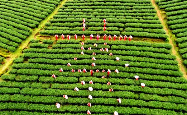 downLoad-20200527103912_Jc