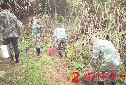 民兵们参与水环境治理行动现场。通讯员供图