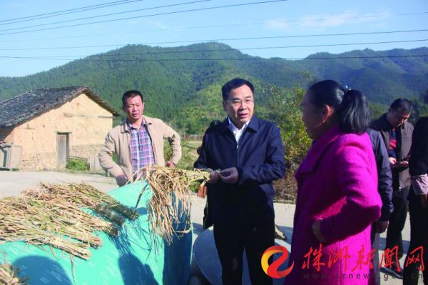 黄诗燕在农村走访调研。 炎陵县委宣传部供图