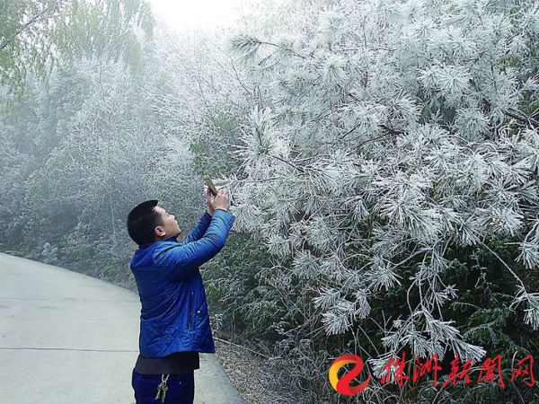 fa11b185-7f33-474c-8aaa-d91bf0cbe2e0