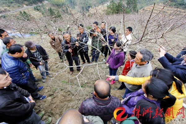 downLoad-20210127092009