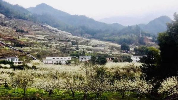 9b325ada-d19d-4dd9-af82-842685e1cf66