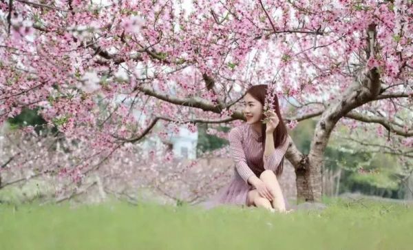 downLoad-20210309102250