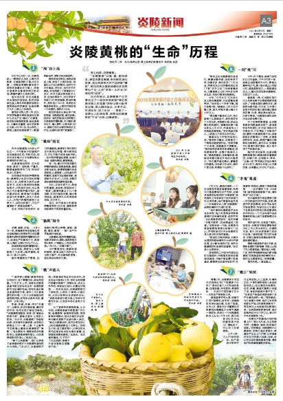 QQ截图20210809100032