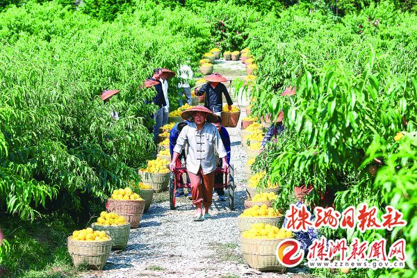 downLoad-20210809095153