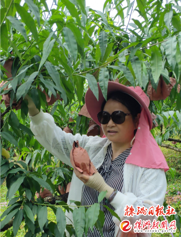 downLoad-20210809094904