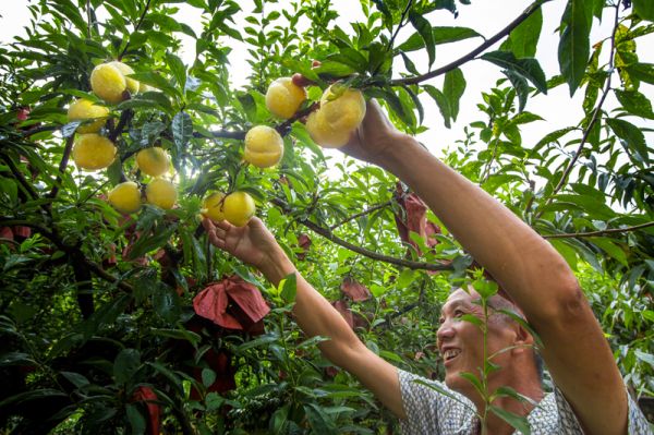 downLoad-20210812090540