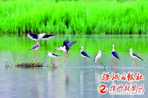 f5a43f65-ddea-4f5a-8b16-ae1a2c7b4cb4