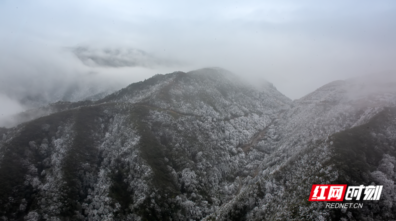 微信截图_20211228142002.png 微信截图_20211228142002.png