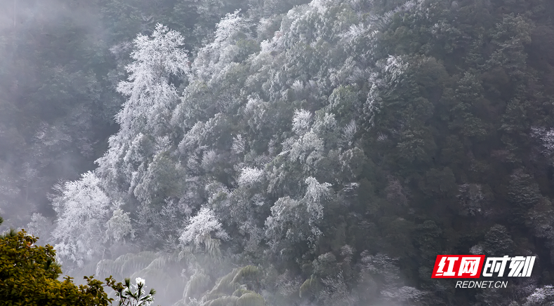 微信截图_20211228142023.png 微信截图_20211228142023.png