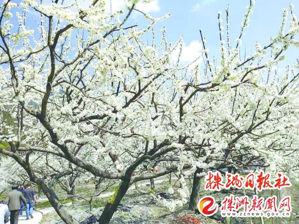 7623890d-6be4-4f51-a715-85f22e160af8