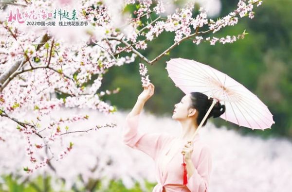 29104fa0-5b34-48d4-91c5-816ee1255545