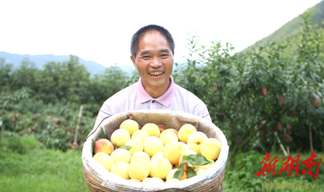 炎陵旧貌焕新颜——探访“老区新貌”的精彩故事