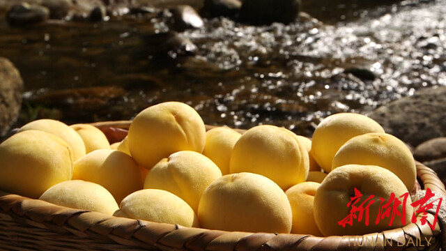 炎陵旧貌焕新颜——探访“老区新貌”的精彩故事