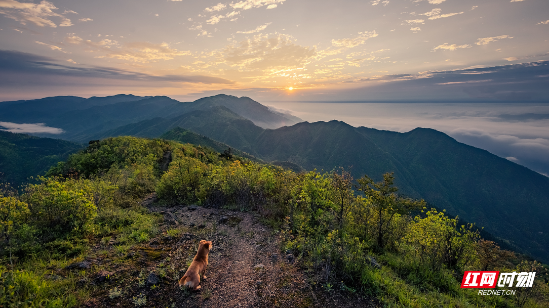 微信截图_20220516105702.png 微信截图_20220516105702.png