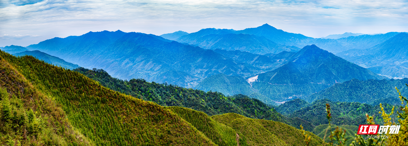 微信截图_20220516145538.png 微信截图_20220516145538.png