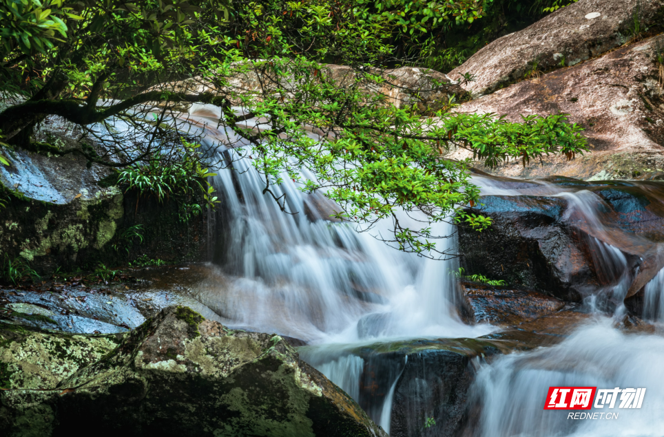 微信截图_20220516150105.png 微信截图_20220516150105.png