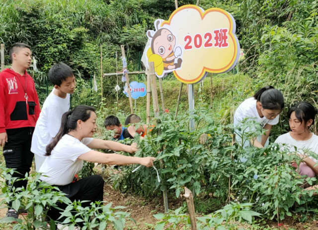 株洲炎陵:学生“种植忙”实践收获多