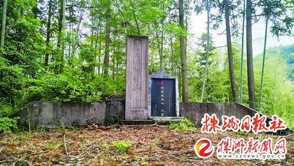 c542fb76-28dd-402c-8797-3f6fe993fd59