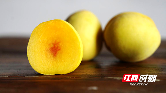 1_副本.png 1_副本.png