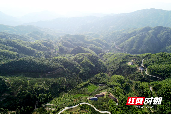 6_副本.png 6_副本.png