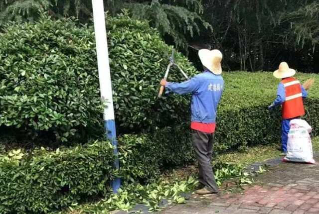 炎陵:增绿补绿提“颜值”焕新貌