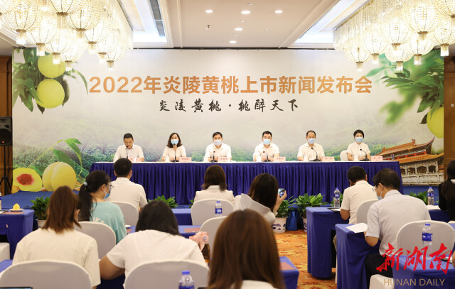 炎陵黄桃“甜蜜”来袭!今年炎陵黄桃预计产量7.8万吨,比去年增加20%