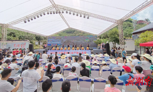 快讯 | 2022年炎陵黄桃大会举行 现场签约采购9750吨