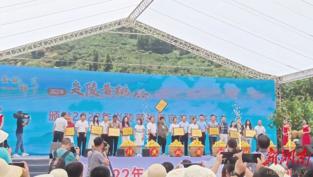 快讯 | 2022年炎陵黄桃大会举行 现场签约采购9750吨