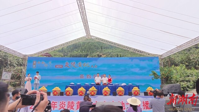 快讯 | 2022年炎陵黄桃大会举行 现场签约采购9750吨