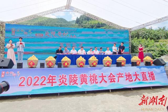 快讯 | 2022年炎陵黄桃大会举行 现场签约采购9750吨