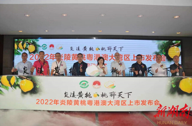 炎陵黄桃在粤港澳大湾区上市 深圳现场销售近50万公斤