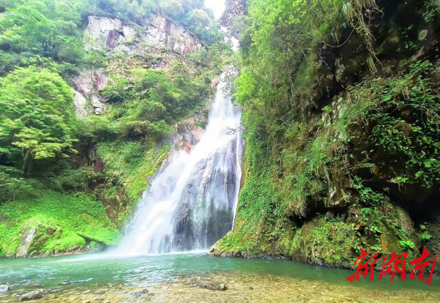 避暑品桃到炎陵