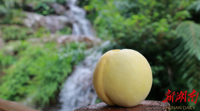 避暑品桃到炎陵