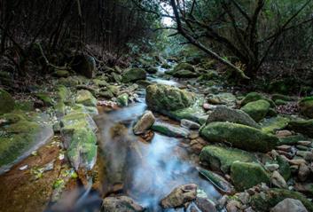 云上大院“小庐山”