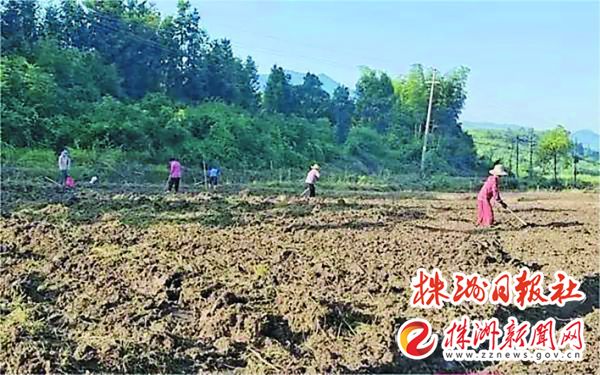 9609ae1e-8db3-478b-8510-c369f63d0e95