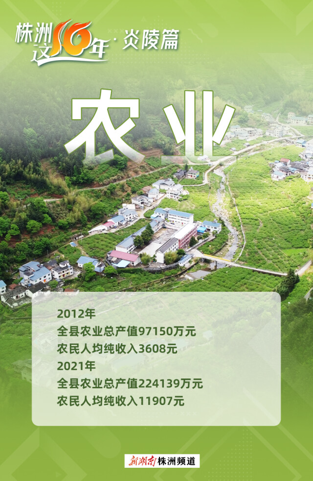 海报 株洲这十年⑤ | 炎陵