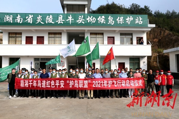 昔日“打鸟岗” 今日“鸟天堂”——炎陵全力守护“千年鸟道”