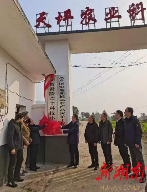 “炎陵柰李科技小院”揭牌 系首批780个国家级科技小院之一