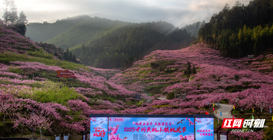 微信截图_20230322090418_副本.png 微信截图_20230322090418_副本.png