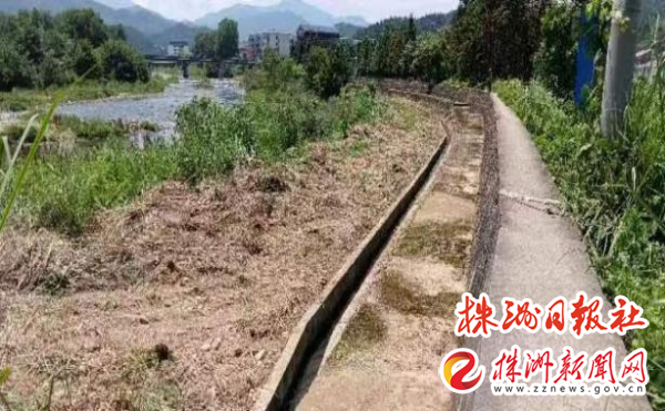 牌楼门口小河清理前后对比相片