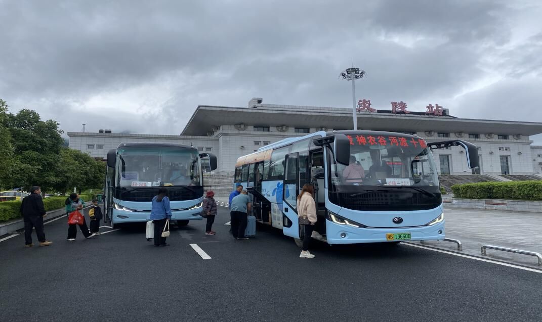 提供旅游专线。单位供图