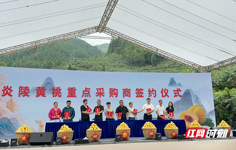 微信图片_2025-07-28_111745_170.jpg 微信图片_2025-07-28_111745_170.jpg