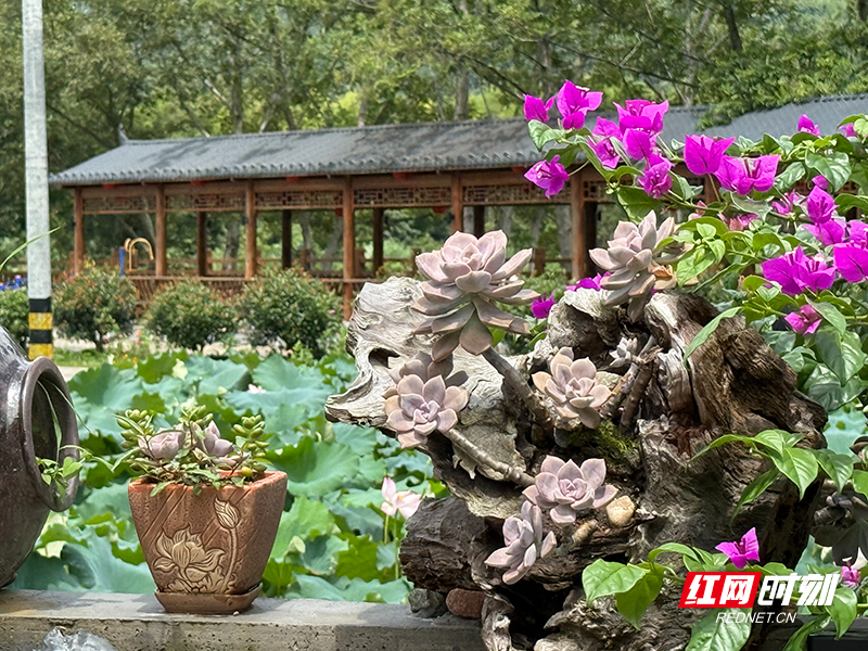 微信图片_2025-07-28_153547_847.jpg 微信图片_2025-07-28_153547_847.jpg