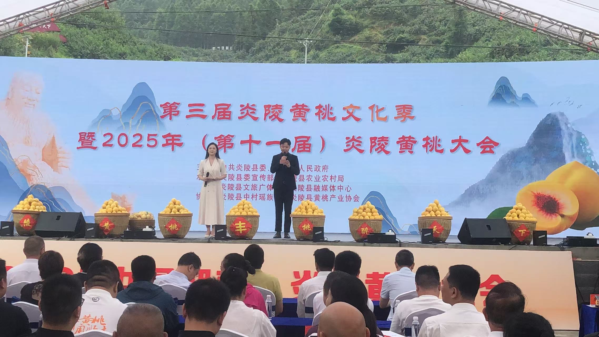2025第三届炎陵黄桃文化季暨第十一届炎陵黄桃大会启幕_fororder_微信图片_20250728151521