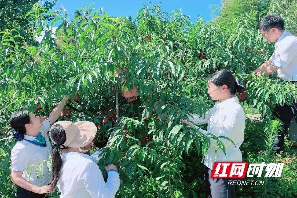 微信图片_2025-08-05_190810_943.jpg 微信图片_2025-08-05_190810_943.jpg